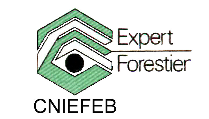 Logo CNIEFEB